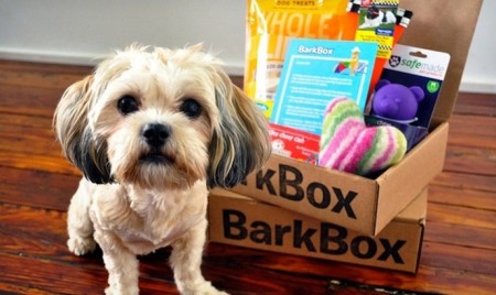 BarkBox